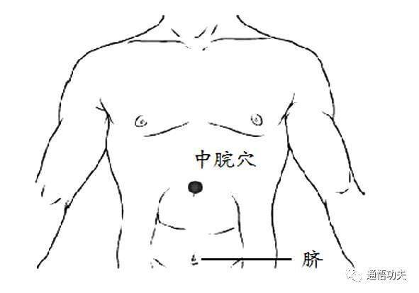 位于腹中线上,脐上4寸,即胸骨下端与肚脐连线中点,是胃的经气汇集之处