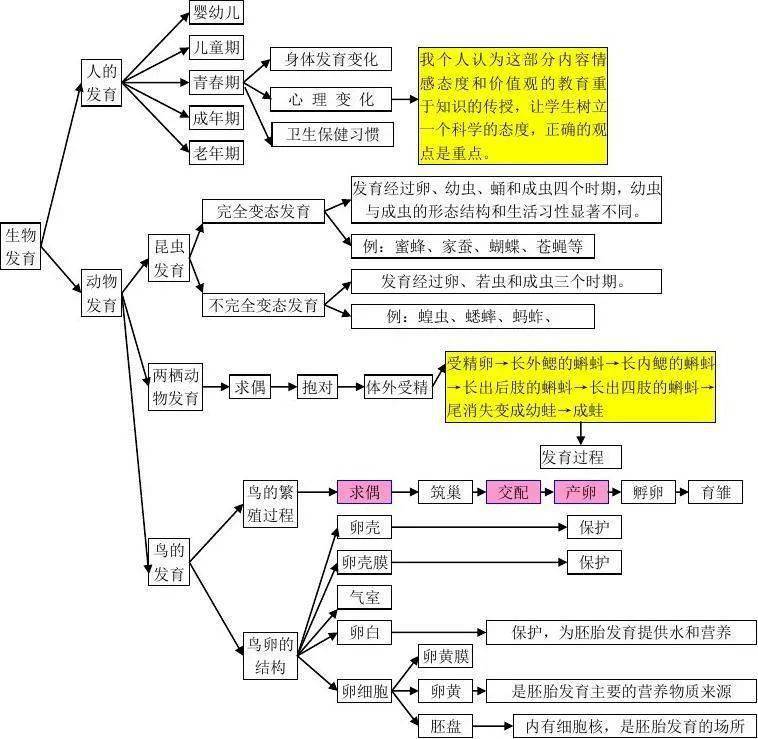 初中生物知識點框架思維導圖,基礎知識簡潔明瞭,收藏!