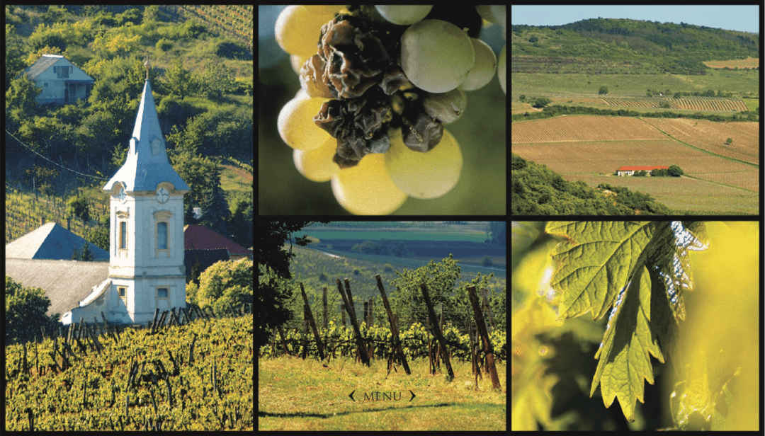 北京站寻觅甜美液体黄金托卡伊tokaji全系列品鉴会