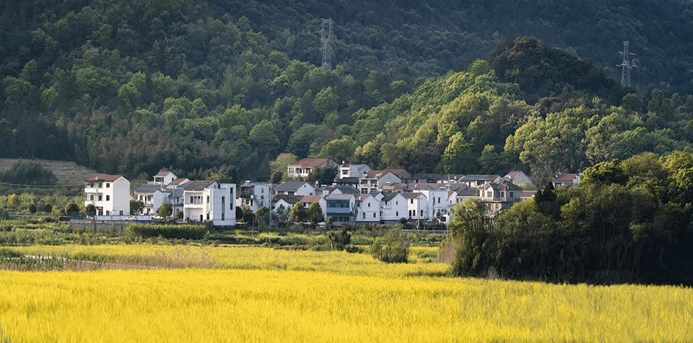 诸暨丽坞底村图片