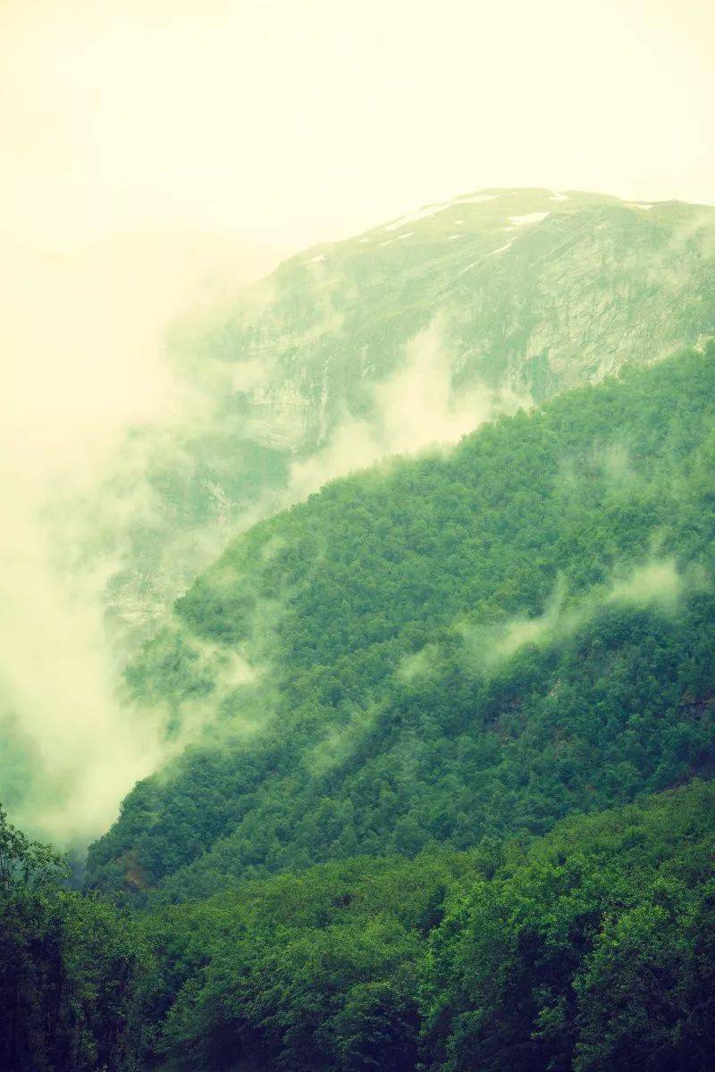 禅乐云海林飞温文儒雅而又不失灵台意境