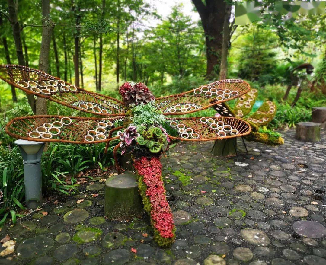 植物王国奇遇记上海植物园第四届阴生植物展开幕在即
