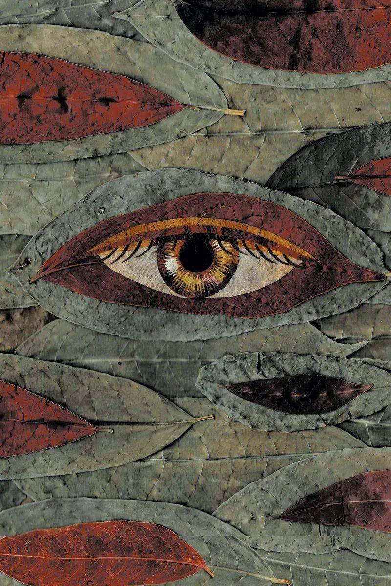 2020美国biophilia国际海报展获奖作品公布