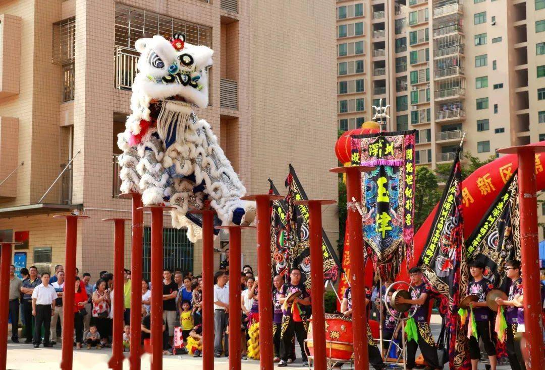 雄姿英发，飞檐走壁！《玉律醒狮舞》亮绝活，光明“非遗”闹起来！_表演