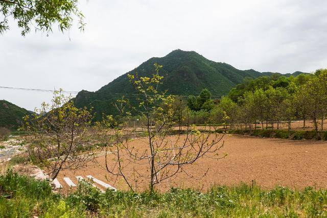 寶雞版的桃花源隴縣八渡牛心山大力村遊記