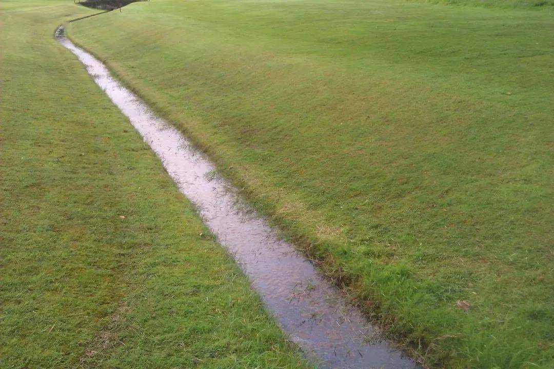 一些草坪总监深谙在果岭上挖临时排水沟的经验,这些临时排水沟可以