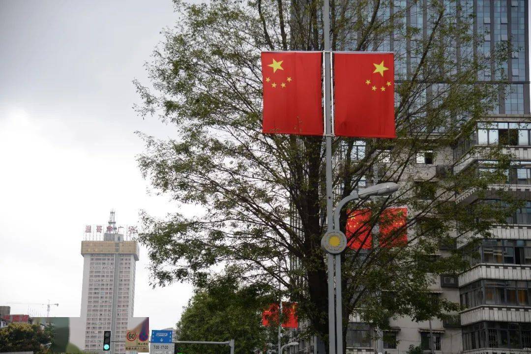 东路),蓉都大道(钟楼至电子路)5条道路两侧的路灯杆上悬挂国旗612套