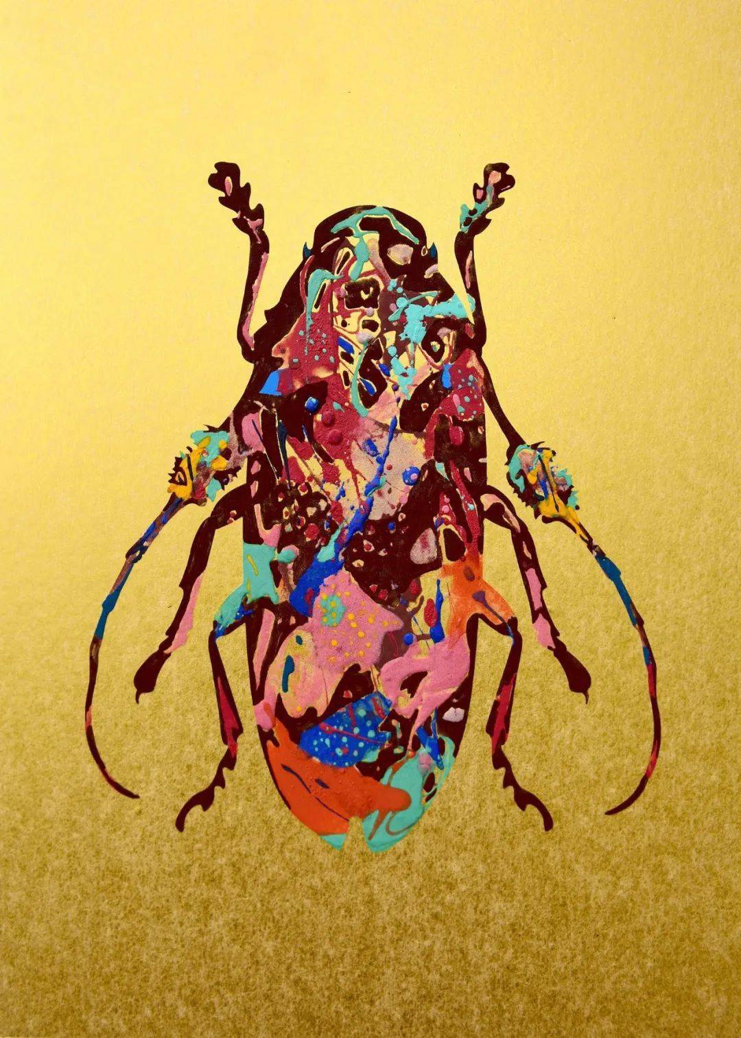 让我们一起探索生命本源_昆虫