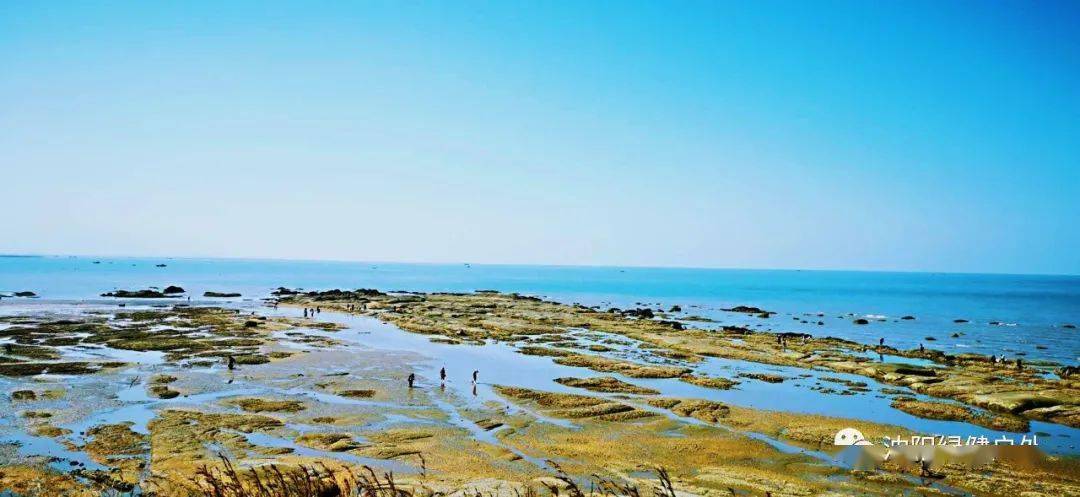 海風踏海浪的好去處…瀋陽集合後出發,赴營口北海國家級海洋公園遊玩