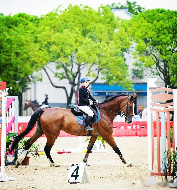 【精彩回顾】诠释骑士精神,上海太阳岛马术俱乐部勇创佳绩