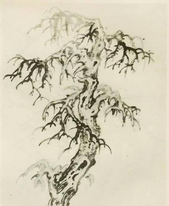 【国画教程】怎样画树？不妨看看这里_树木