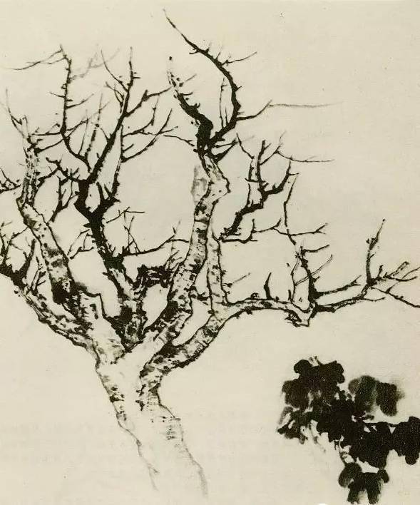 【国画教程】怎样画树?不妨看看这里_树木