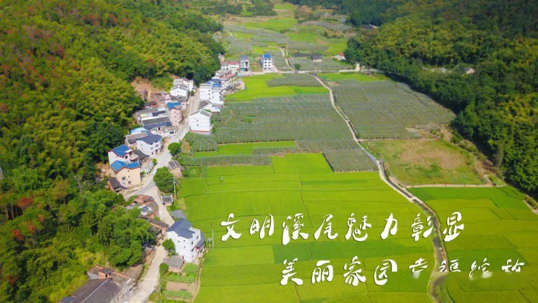 来看看这些村的变化……_溪尾镇