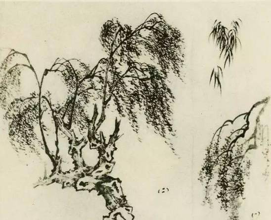 【国画教程】怎样画树？不妨看看这里_树木