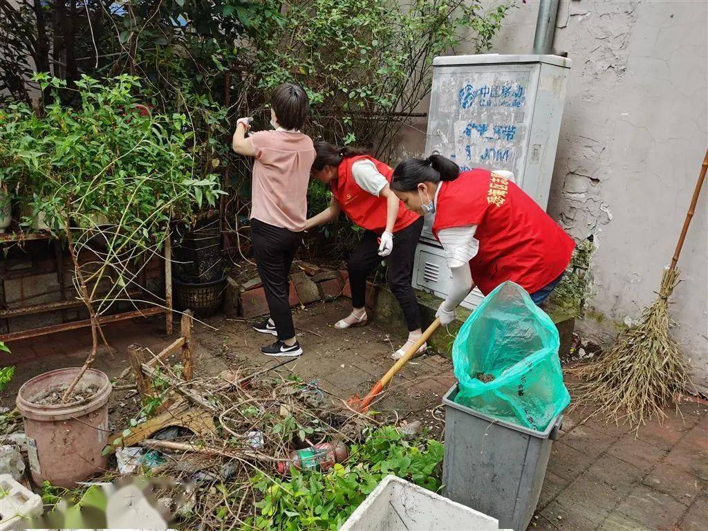 清洁家园美化社区爱卫行动喊你一起来