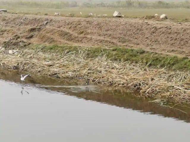 环保督察曝光台三二支沟贺兰段水质超标问题亟待解决