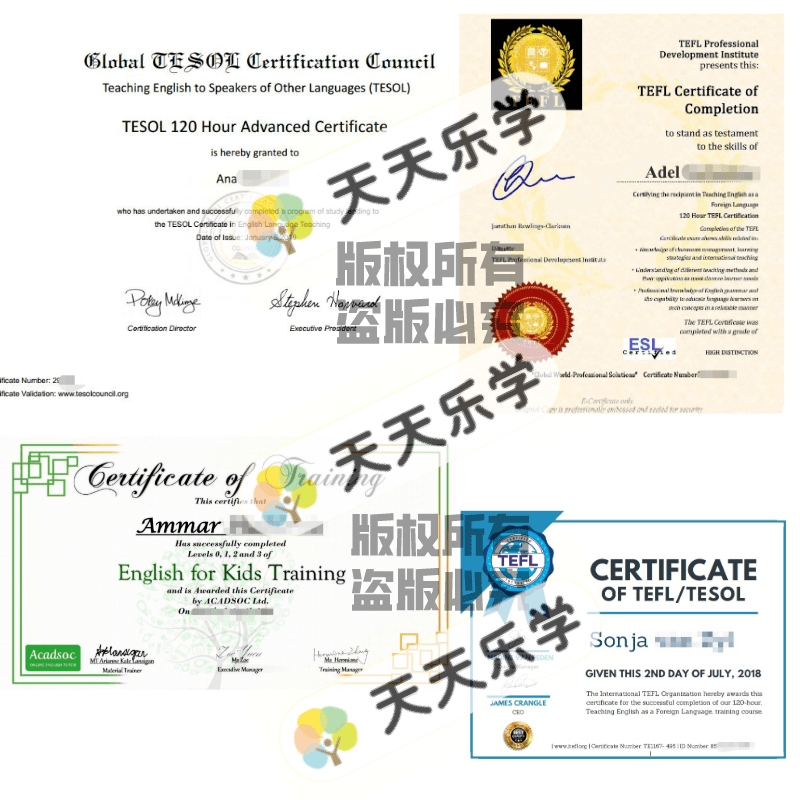 天天樂學外教小班課部分外教資質一覽版權所有 盜版必究△天天樂學