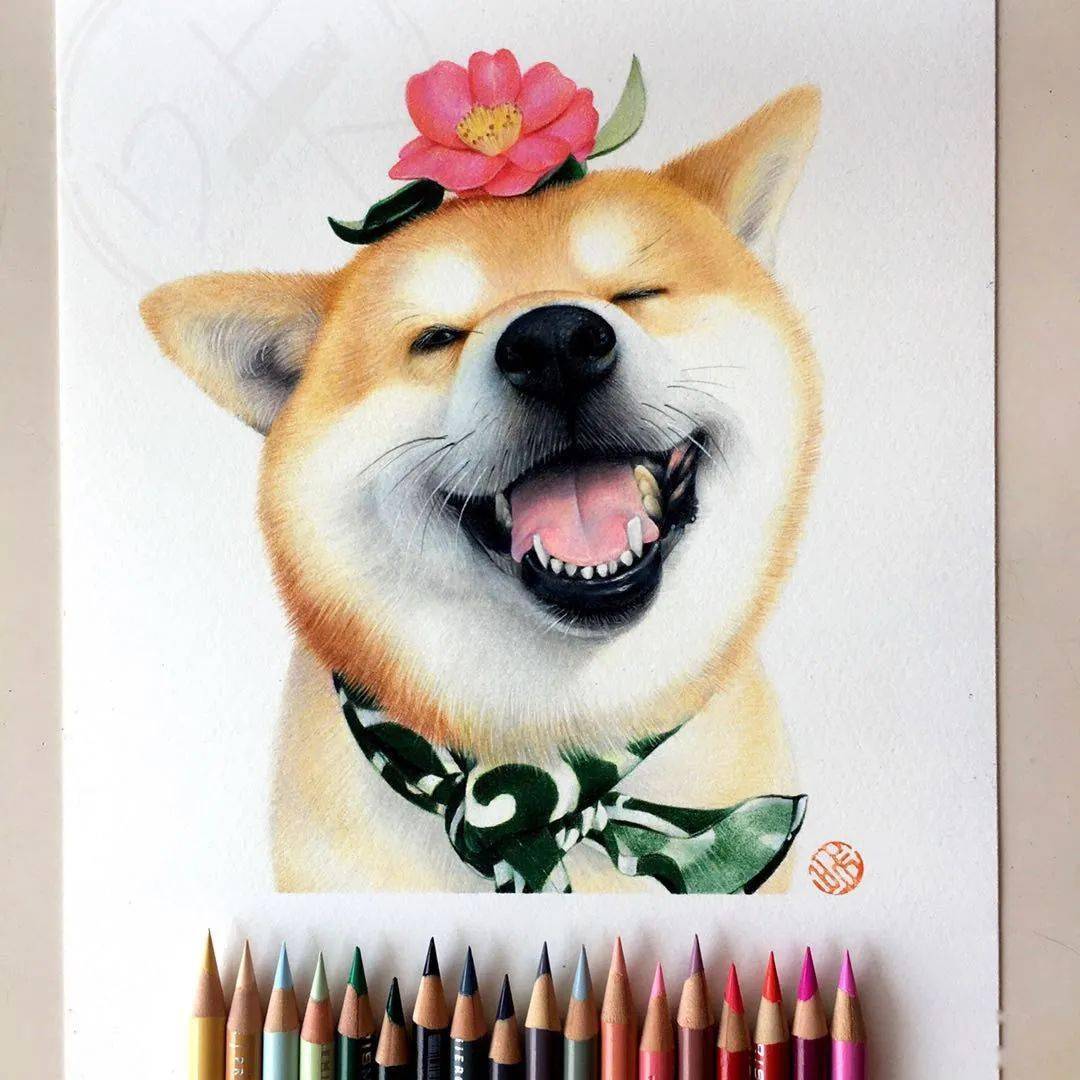 因为画画,让生活更趋向自己心中向往的样子|零基础彩铅福利课