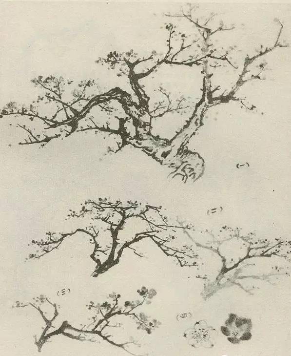 【国画教程】怎样画树?不妨看看这里_树木