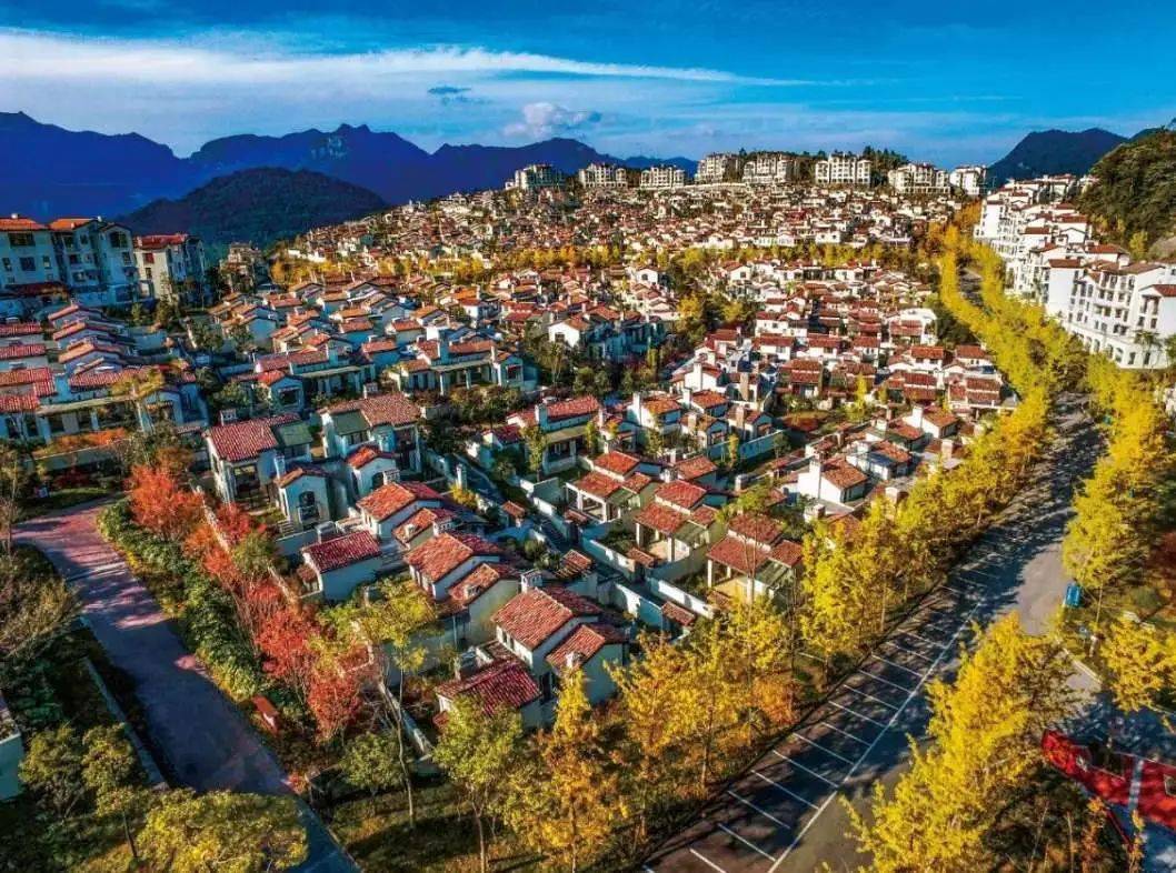 2020仙女山马拉松开启报名重庆第一个度假马拉松赛事助力pb