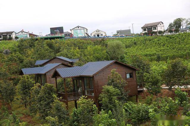 桑园里的独立小木屋,让您在静谧中尽享几日闲.民宿里的四合院.