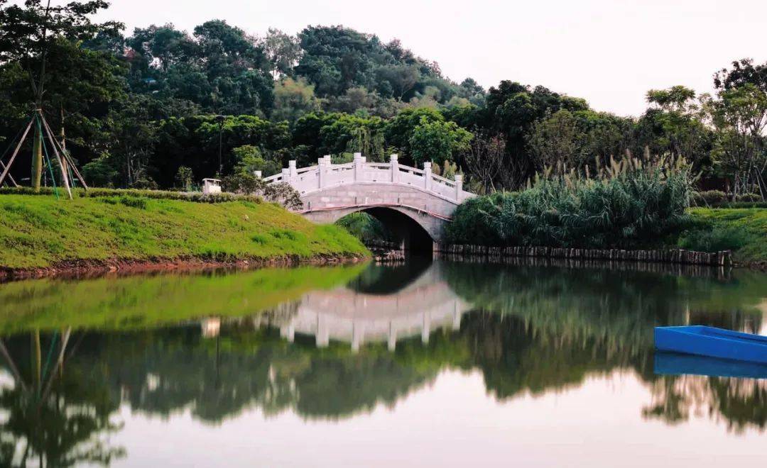 美爆初秋来张槎这个森林秘境邂逅城市绿心