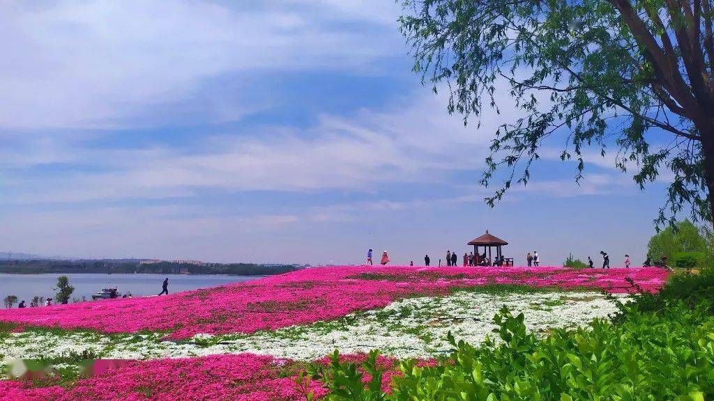 安阳汤阴汤河湿地公园图片