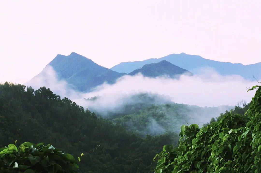 大自然巡礼海南鹦哥岭国家及自然保护区