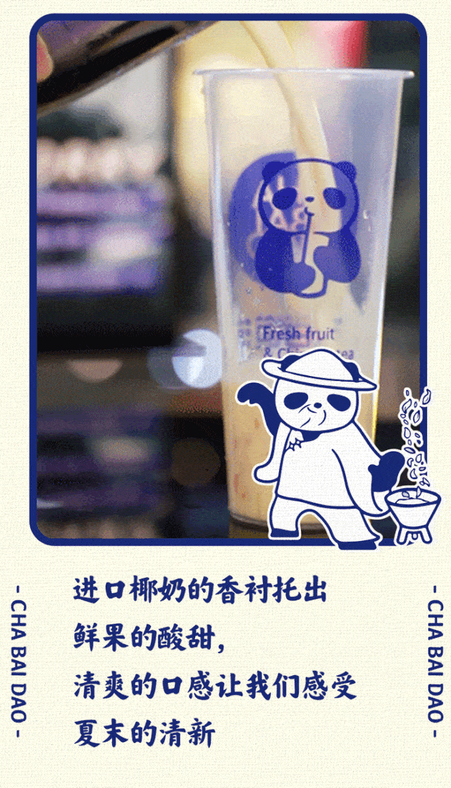 茶百道小熊猫图片