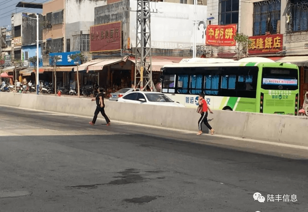 陸豐博美:有人這樣過馬路.