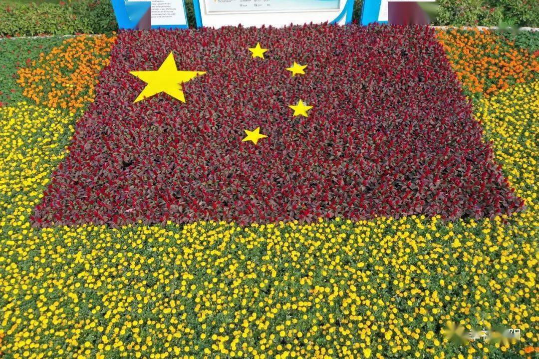 【围观】国旗!鲜花!迎双节!