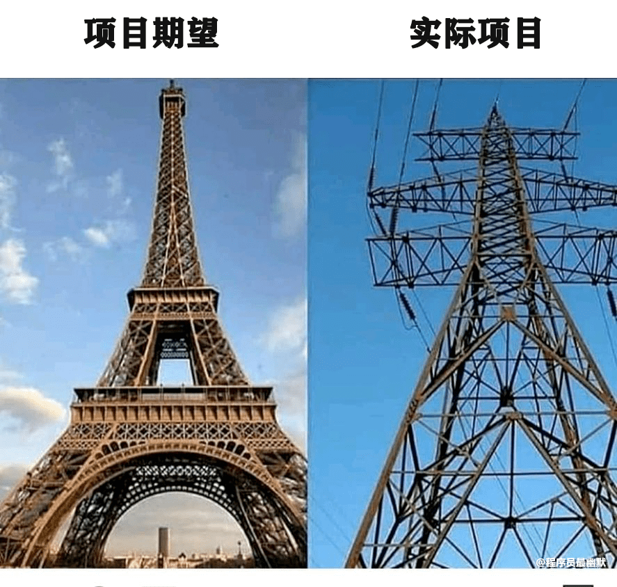 项目期望 vs 实际项目_小树