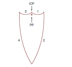 下颌运动水平面冠状面