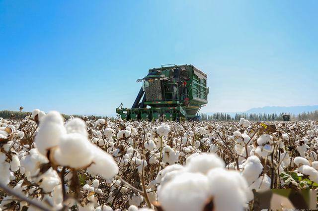 lpl春季赛季后赛|LPL推荐预测 LPL春季季后赛 JDG EDG 小棉花 LPL分析师