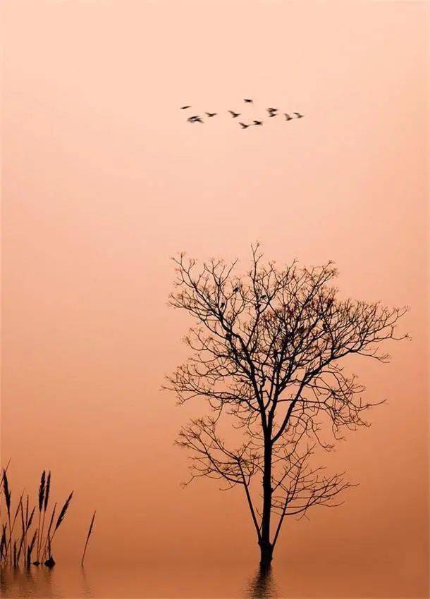 秋赛伊始 九月这些精彩图片太赞了