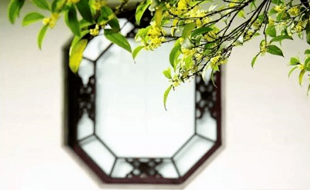 符建康校园里的桂花又香了主播小青