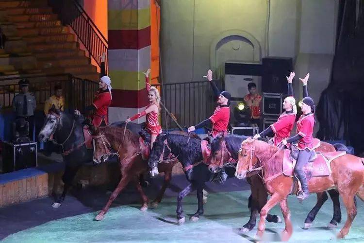 130元起抢重庆乐和乐都主题公园套票,动物园 陆地乐园 皇家大马戏一票