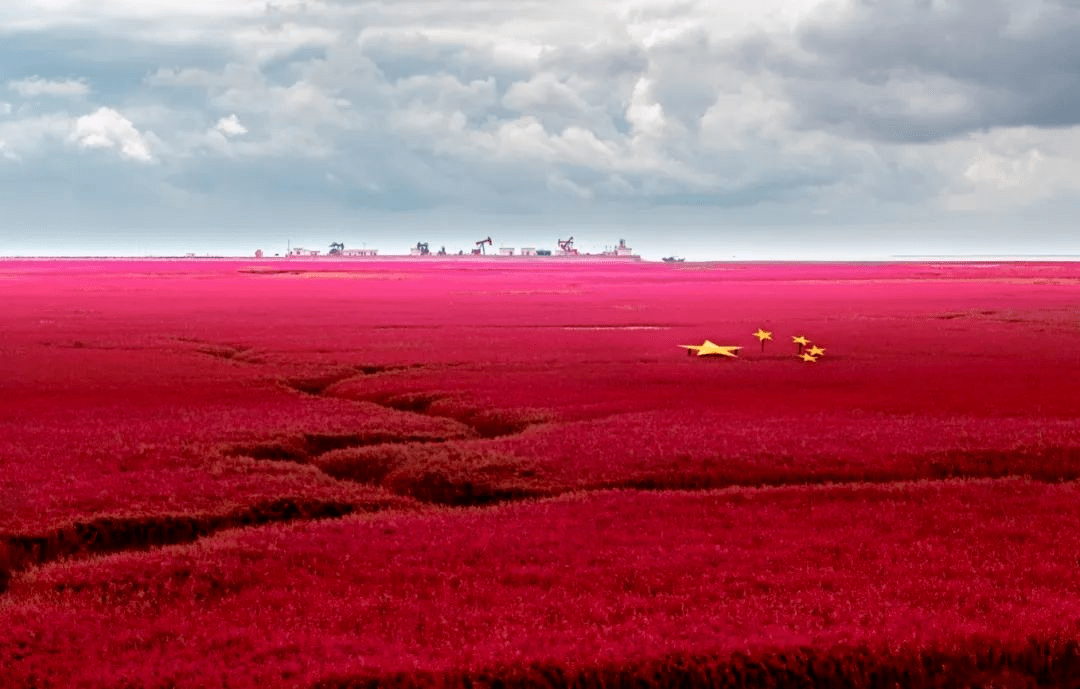 云游盘锦红海滩深度游全攻略必看