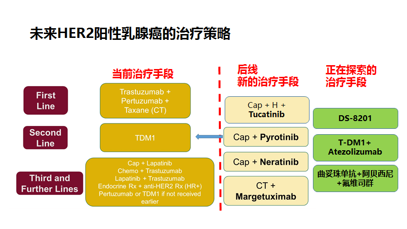 马飞教授her2阳性晚期乳腺癌治疗进展丨第三届福建省立乳腺论坛