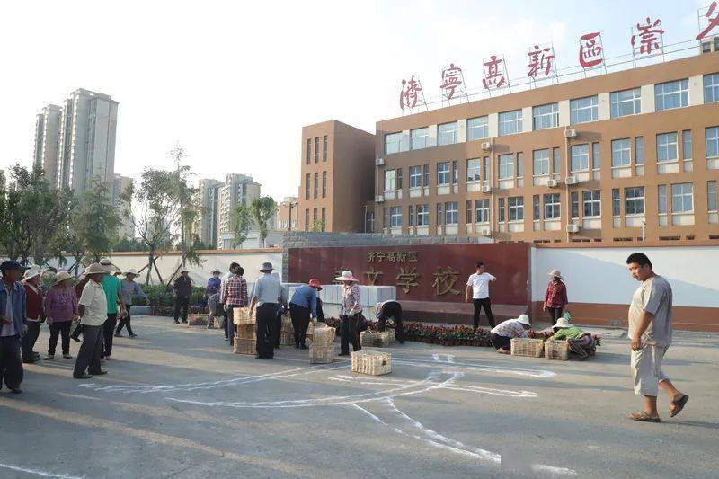 美呆了30万盆鲜花扮靓济宁高新区