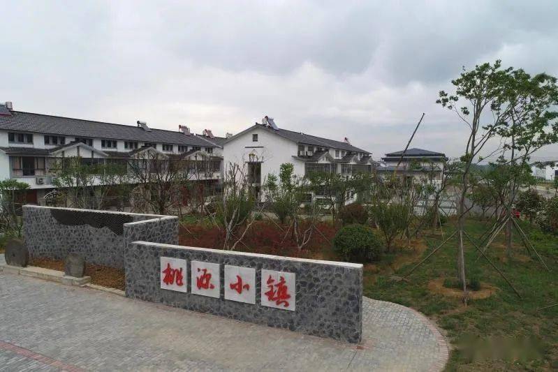 在黄花塘桃源小镇,陈之常察看农村污水处理设施建设情况,听取我县农村