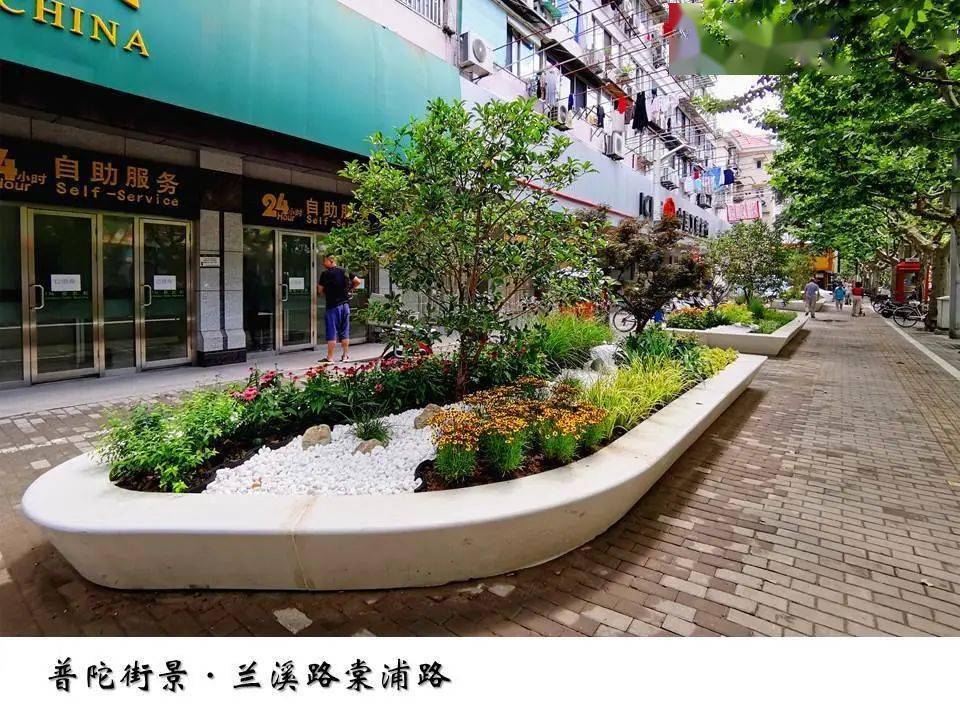 双节同庆转角绿地①移步易景四季有花普陀的转角不仅仅是绿化更是彩化