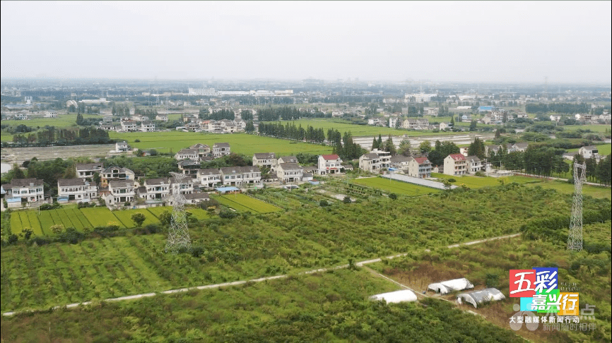 五彩嘉兴行走进百步镇④生态农场念活绿色经