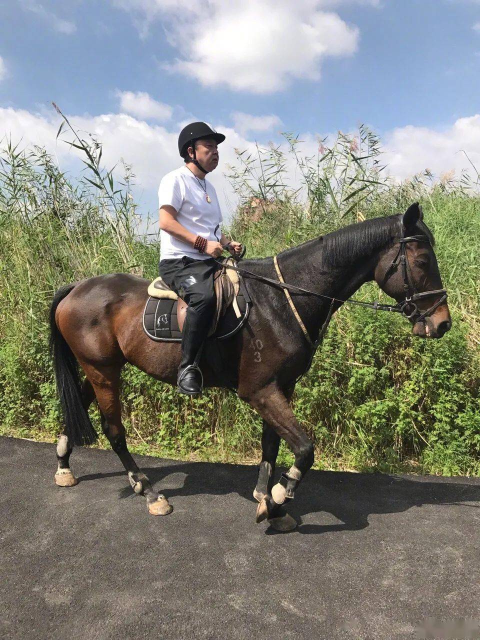 赛马熬鹰盘串儿他才是真正的人间顽主