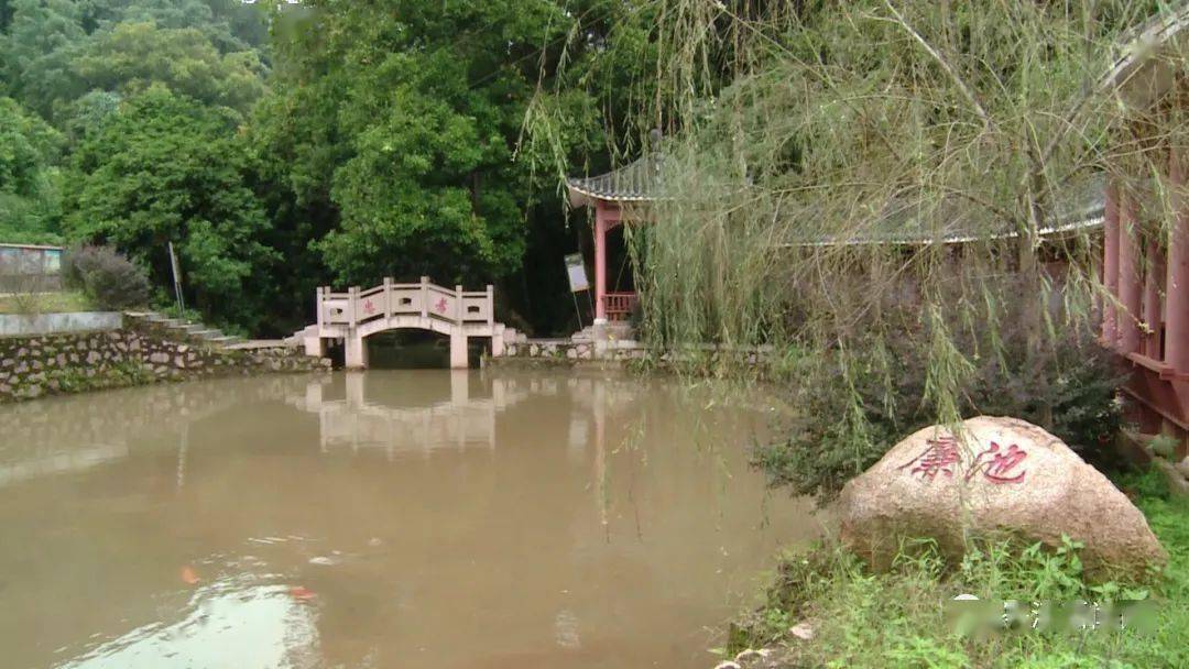 波塘镇逐步深化一站两网建设保障惠民政策落到实处