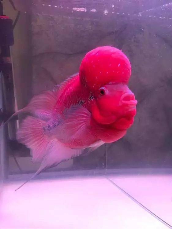 562_750竖版 竖屏