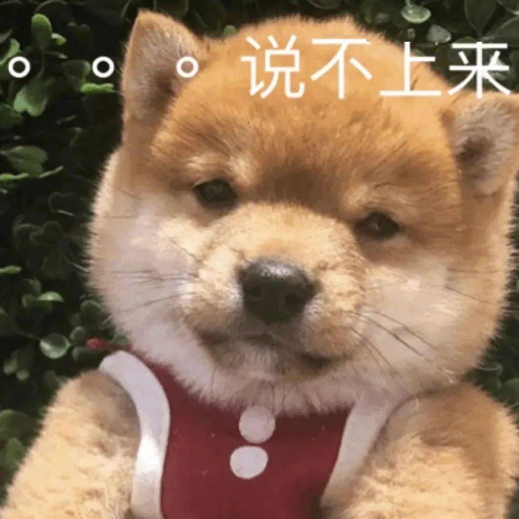 好玩搞怪个性表情包