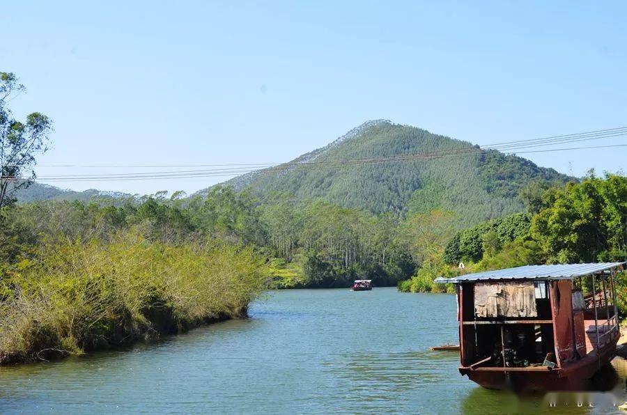 『 合浦曲樟乡 』