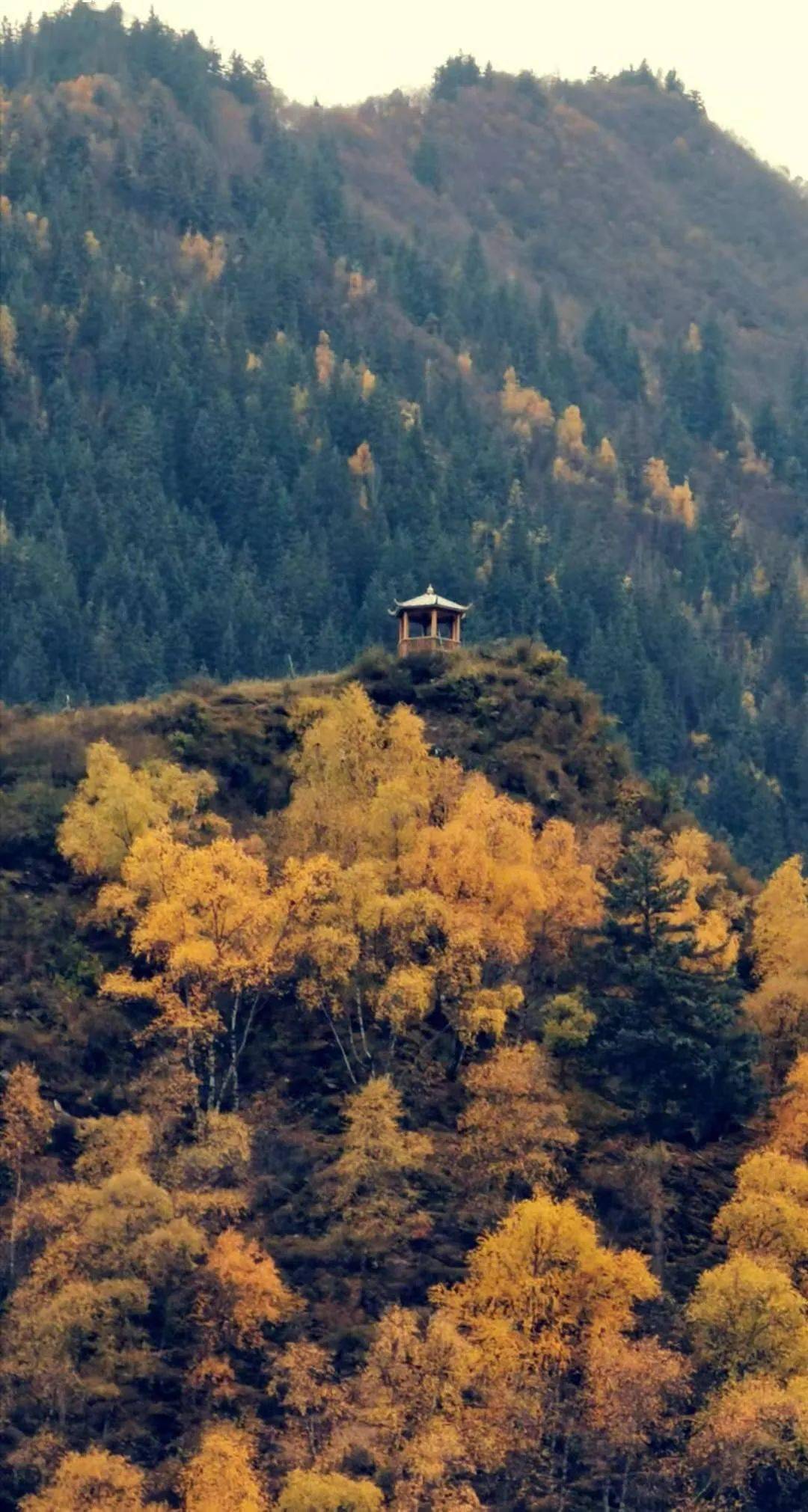 青海这波秋景美得让人屏住呼吸