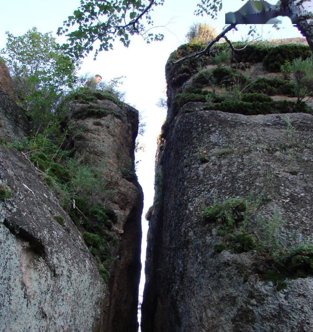 feng荐打卡扎赉特扎赉特旗神山国家森林公园